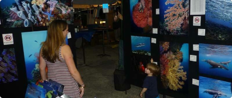 Love the Ocean Gallery Booth 2